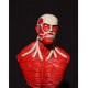 Attack on Titan Colossal Titan Büst